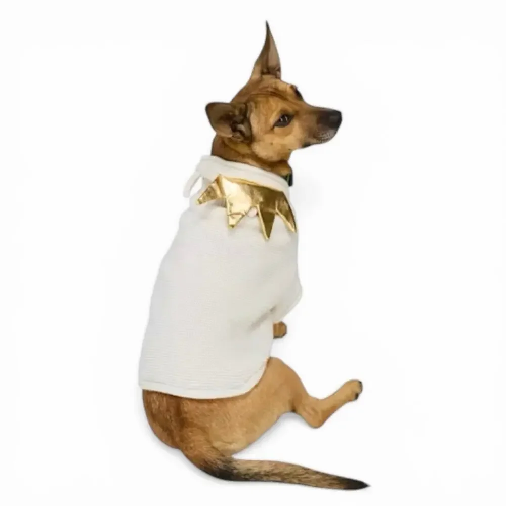 YOULY Crown Knit Pet Sweater Small Cream Gold Royal Dog Costume Hooded Knitwear - Picture 1 of 9